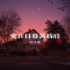 爱在日暮黄昏时