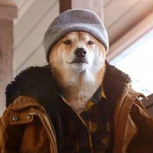 这一生关于你的风景