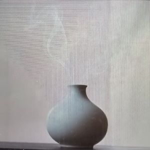 《瓷釉》
