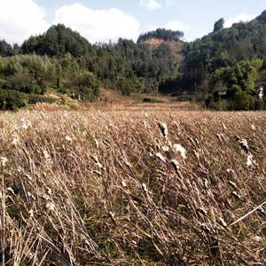 一路向前(prod by Bubbleboy)