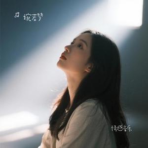 伤心等候 (婉若梦 Remix)