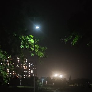 戒不掉的爱