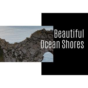 Freedom of the Woods