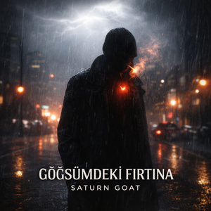 Göğsümdeki Fırtına