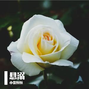 葛东琪-悬溺（钢琴版）