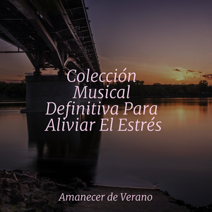 Reflexiones de la luz de la luna adormecida