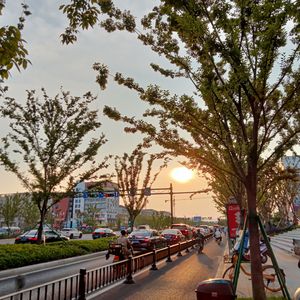 十万块(cover Mcsweet)