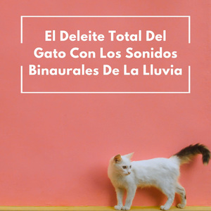 Ronroneos Calmantes Con Ritmos Binaurales