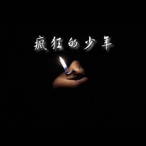 疯狂的少年