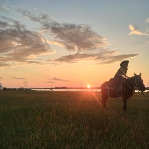 来到草原心辽阔（韩晓辉）