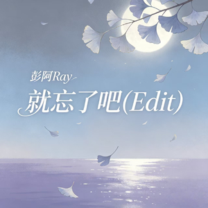 就忘了吧(Edit)