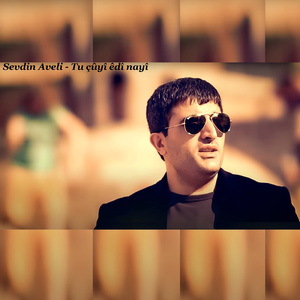 Tu çûyî êdî nayî