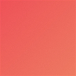 NVMD (Cover)