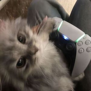 ScreenRecording_12-01-2025-19-00-20_1