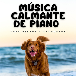 Teclas De Piano Suaves Y Tiernas