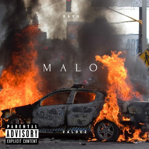 Malo