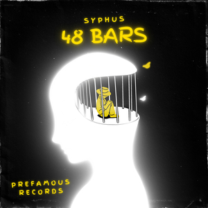 48 Bars