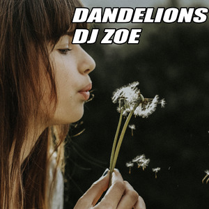 Dandelions