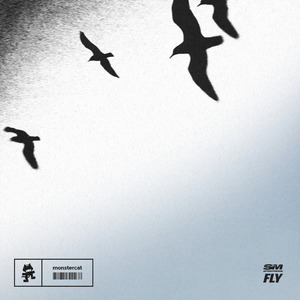 FLY