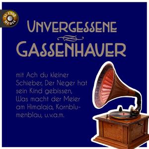 Wenn am Sonntagabend die Dorfmusik spielt