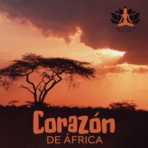 Calma Tus Pensamientos