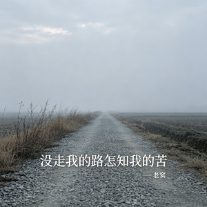 没走我的路怎知我的苦
