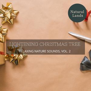 Wondrously Natural Silence