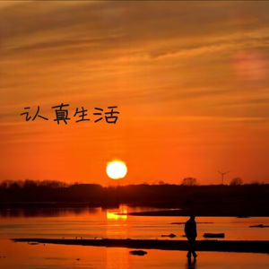 认真生活