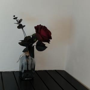 不是因为寂寞才想你