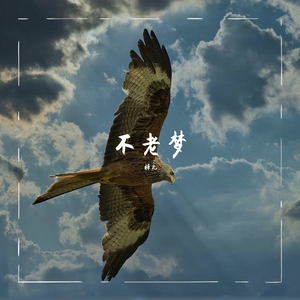 不老梦
