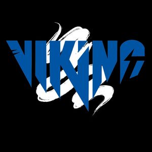 Beauty we found love（DJ ViKiNG remix）