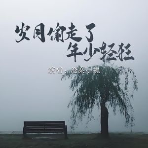 岁月偷走了年少轻狂