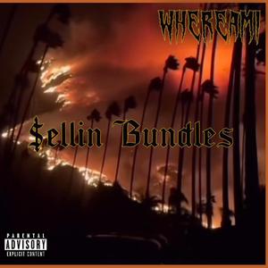 $ellinBundles (feat. WHEREAMI)