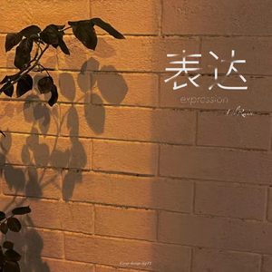 表达