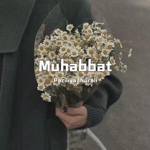 Muhabbat