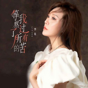 等我熬过了所有的苦 (DJ老鹏版伴奏)