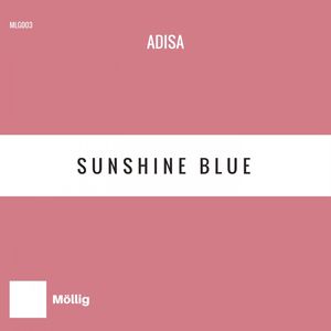 Sunshine In The Dark (Original Mix)