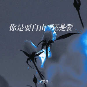 你是要自由还是爱