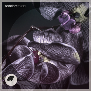 Wear Black (Extended Mix)