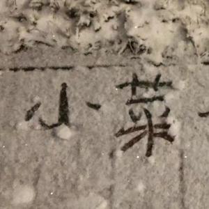 有关他的随想