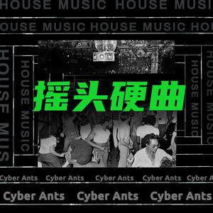 蹦迪神曲 (DJ版)