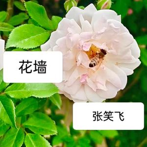 花墙