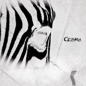 Cebra