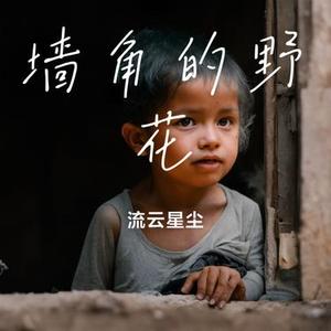 墙角的野花  (合唱版)