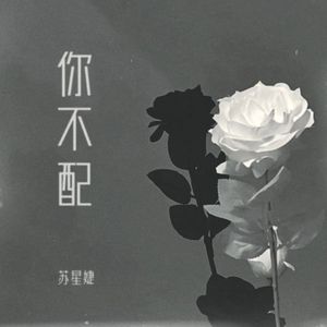 你不配 (校园广播版)