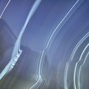 椋鸟群的壮观.wav