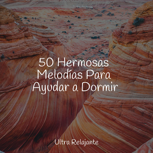 Mirar Fijamente A La Niebla