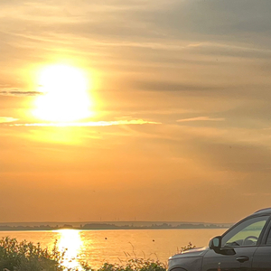 I Just Got My License