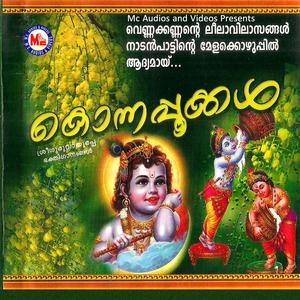 Ambadi Thannilorunni