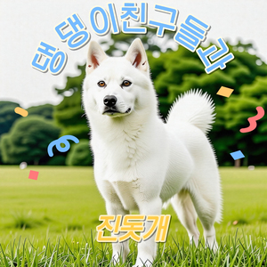 댕댕이 친구들과 진돗개